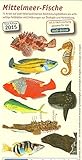 Fischkarten Mittelmeer 71 Arten