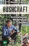 Bushcraft: Survivalwissen Wildpflanzen Europas