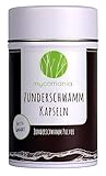 Zunderschwamm Kapseln von Mycomania™| 28,8g Pilzpulver in 90 Kapseln | Nahrungsergänzungsmittel mit Beta Glucan