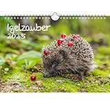 Igelzauber DIN A4 Kalender für 2025 Igel - Seelenzauber