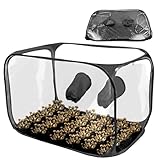 Pilz-Zuchtbox Stein-Champignon Pilzzuchtset I Pilze Züchten Set I Tolles Geschenk Für Gartenfreunde Und GemüseLiebhaber I Heimgarten I Pilz Zuchtbox (Groß) 76x43x44,5cm