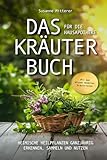 Das Kräuterbuch für die Hausapotheke – Mit dem Wissen moderner Kräuterhexen heimische Heilpflanzen ganzjährig erkennen, sammeln und nutzen