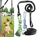 TUAHOO Bungee-Ziehspielzeug für Hunde, Outdoor-Hundespielzeug zum Aufhängen mit 2 Kauseilen, Interaktives Spielzeug Seil für große und Mittlere Hunde zum Spielen & Trainieren am Baum
