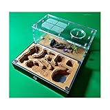Ameisenfarm Betonnest Pädagogisches Formicarium Doppelter Wasserturm DIY Acryl Transparent Lebende Ameisen Werkstatt Ameisenturm Ökosystem Geburtstagsgeschenk Geschenk (Color : A,