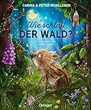 Wie schläft der Wald?: Wunderbare Gute-Nacht-Geschichte aus dem Wald für alle kleinen Naturfans ab 24 Monaten (Oetinger natur)