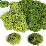 ROLLWAY 100g Kunstmoos zum Dekorieren, Kunstmoos zum Basteln Künstliches Moos Deko Kunst Moos Fake Dekomoos Bastelmoos für Wand Krippe Aquarium Krippe Modellbau Dunkelgrün 50G + Hellgrün 50G