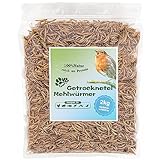 Getrocknete Mehlwürmer 13L (2kg) – Premium Insektensnack für Wildvögel, Igel, Fische & Reptilien – Hochwertiges Ganzjahresfutter mit hohem Proteingehalt für draußen – Blumixx Jan-Pet Premium