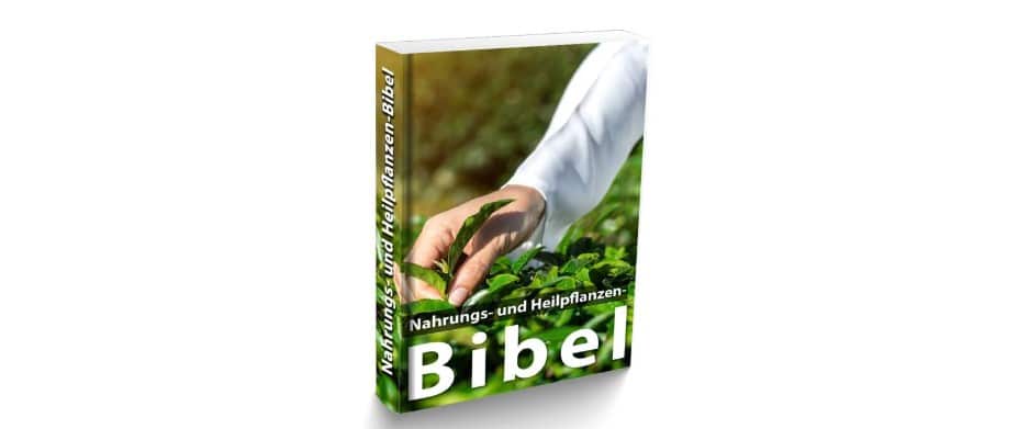 nahrungs und heilpflanzenbibel
