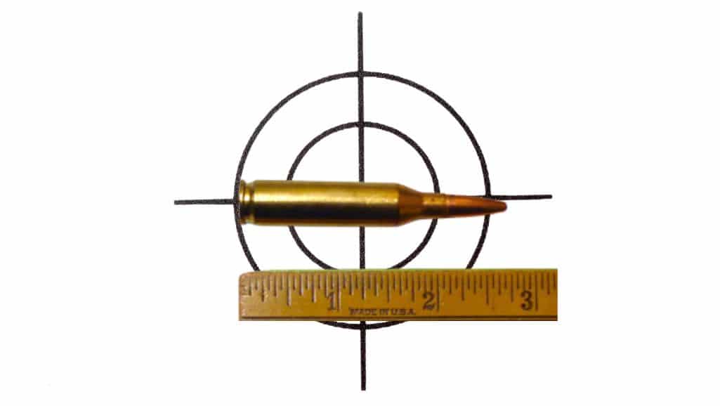 Kaliber .243 Winchester Test & Erfahrung