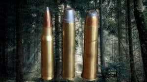 .444 Marlin bleifrei: Test & Erfahrungen