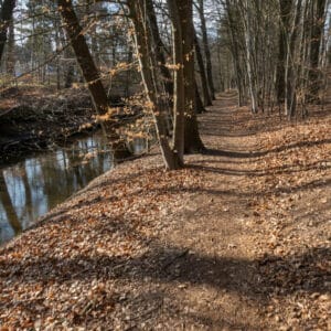 Kann ich in Deutschland einfach im Wald leben?