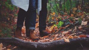 Wie lange darf man liegendes Holz im Wald sägen?