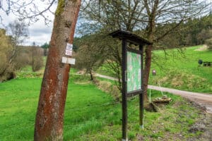 Was darf man in seinem eigenen Wald machen?