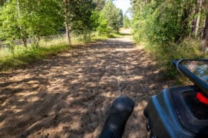 Sollte man nachts durch den Wald laufen?