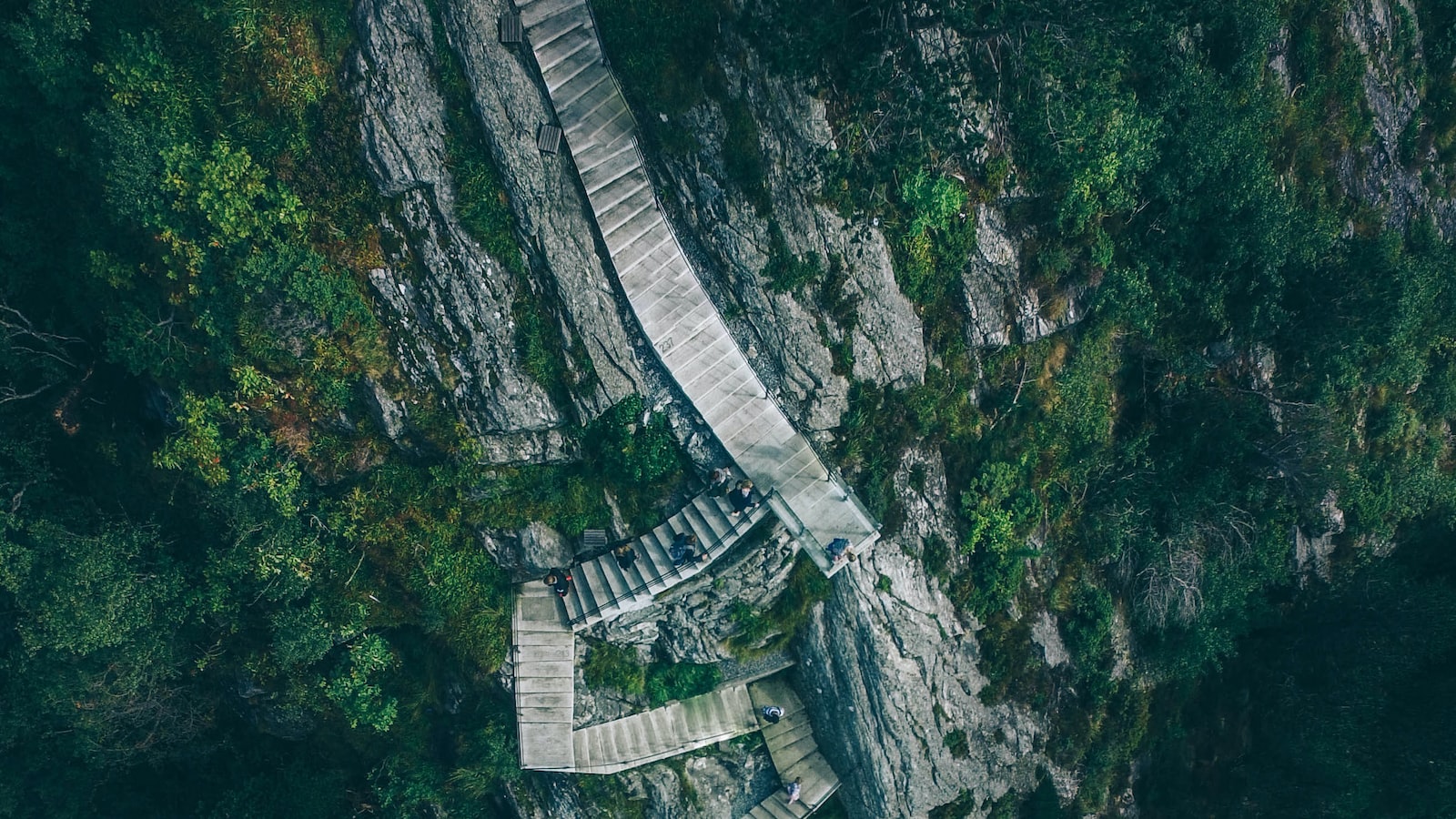 Welche Stauden für Naturgarten?