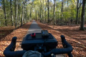 Wie viel Holz darf man aus dem Wald holen?