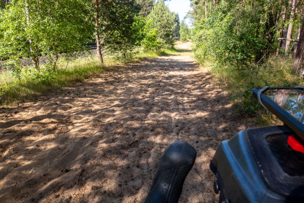 Welche Pflanzen mögen Sonne und Trockenheit?