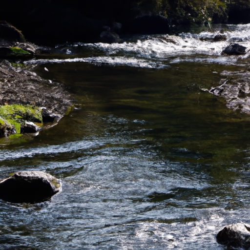 Wasserfilterbehälter mit Ausgießer