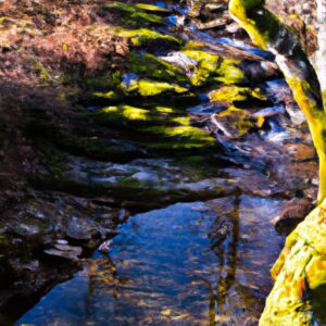 Pure Perception: Entdecke Wasseranalysen leicht gemacht!