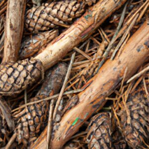 Vegan auf Abenteuer – Notfallnahrung für unterwegs!