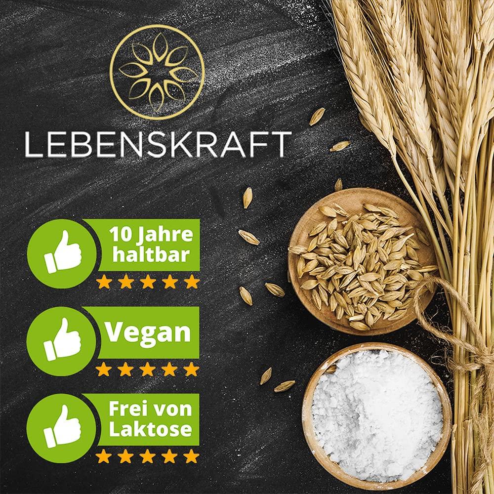 Unsere Top 4 Dosenbrote: Geschmack, Haltbarkeit & Vielfalt